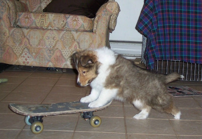 Ben on a skateboard.